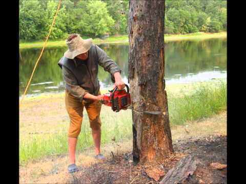 Supersci - Livin Lavish