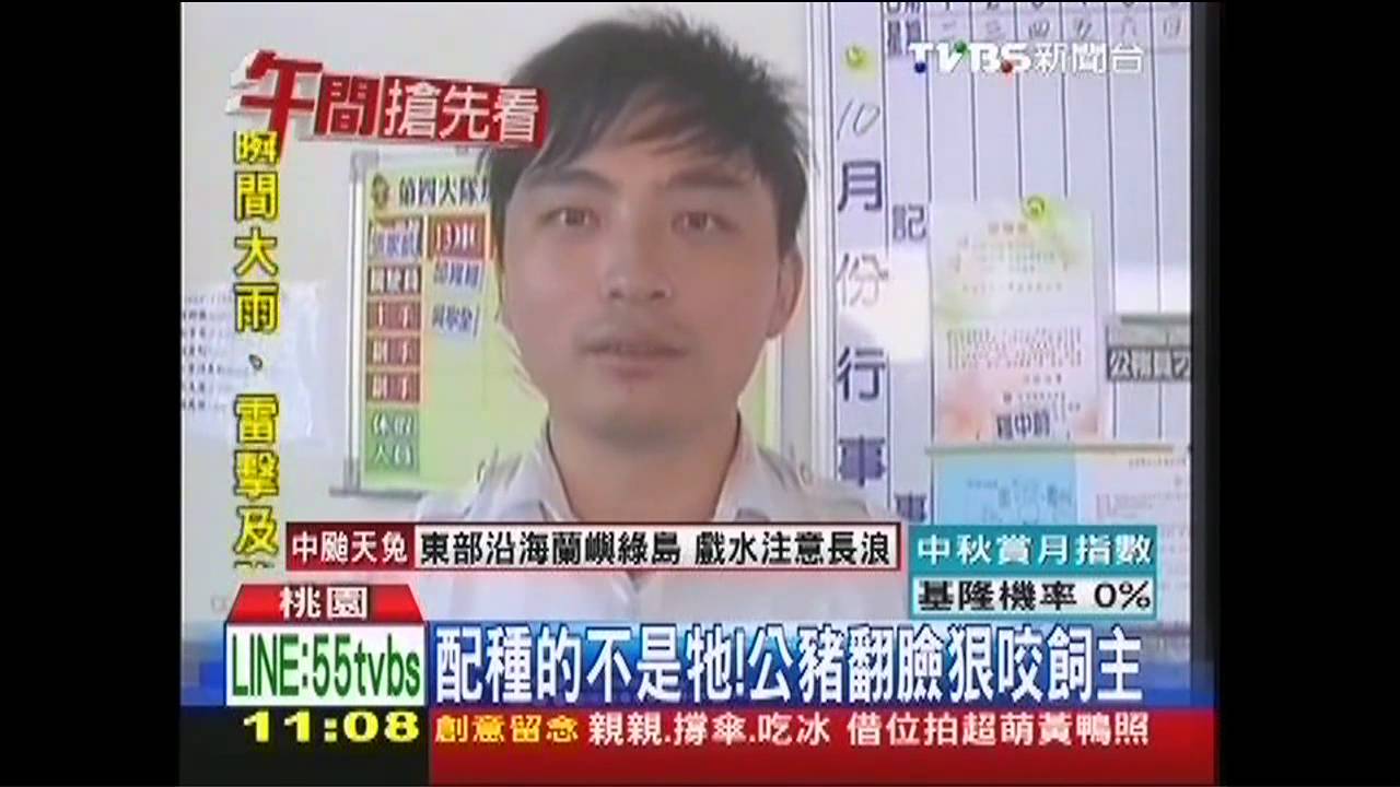配種的不是牠！　公豬翻臉狠咬飼主