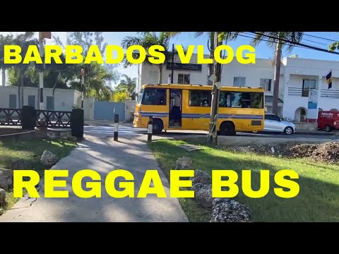 BARBADOS REGGAE BUS VLOG: A FUN WAY TO SEE THE ISLAND!