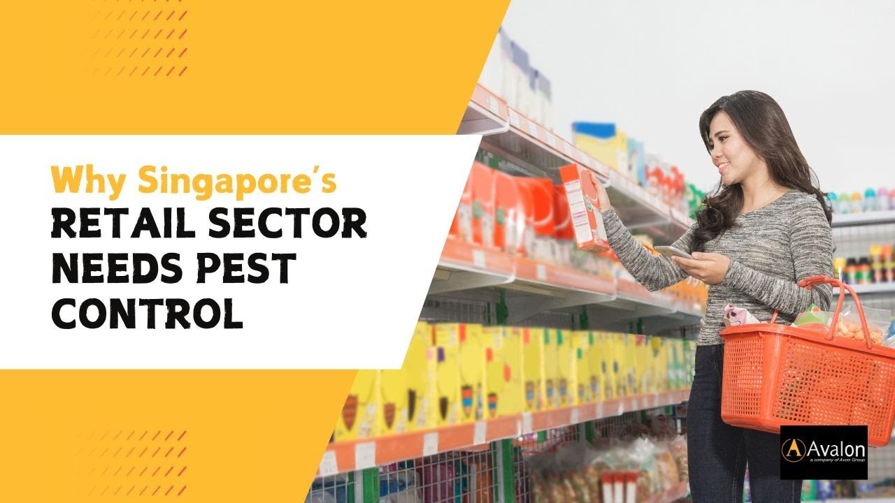 Why Singapore’s Retail Sector Needs Pest Control