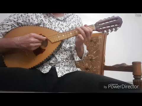 Cours de Mandoline Andalou N°1