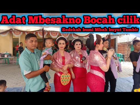 Adat Mbesakno Bocah Cilik | Sedekah bumi Mojo Terong