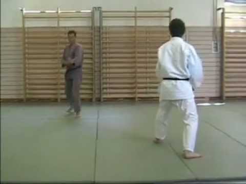 Kiri-no-kako Kata