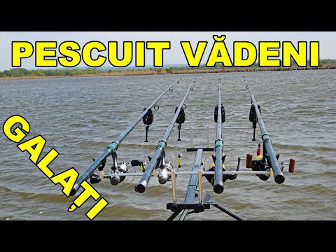 Pescuit la crap pe balta Vadeni Mata - Radeanu comuna Cavadinesti Galati