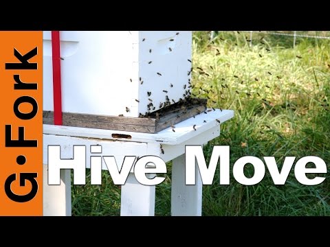 , title : 'Move a Beehive - Beekeeping 101 - GardenFork'