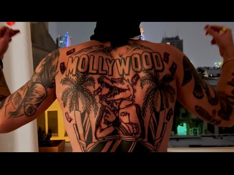 𝖜𝖍𝖔 𝖘𝖊𝖊 - DZIKI KROKODYL (PRODBYZAWN)