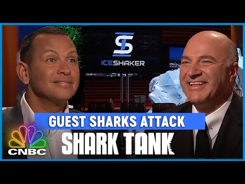 Sharks Go Head to Head in Flip Cup Game | When Guest Sharks Attack