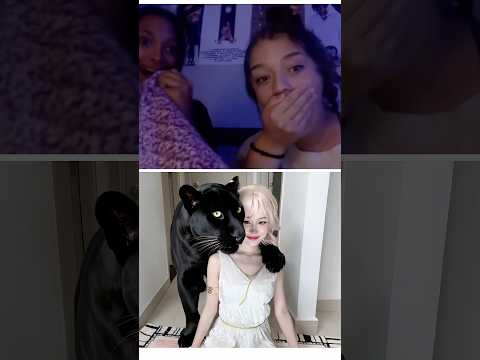 What kind of Cat is that? | CHANG DORY | omegle