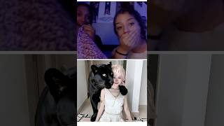 Download lagu What kind of Cat is that? | CHANG DORY | omegle mp3