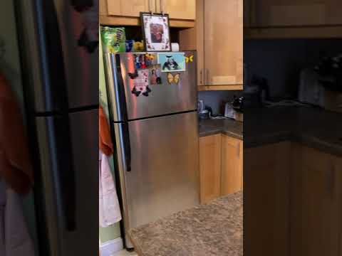 Quincy Real Estate Virtual Tour 133 Commander Shea Blvd Unit 503 Quincy MA 02171 - Studio unit