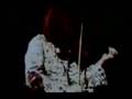 white bird-its a beautiful day 