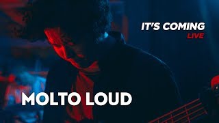 Molto Loud - It's coming (live)
