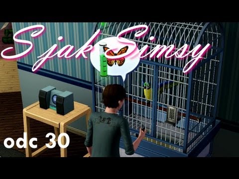 S jak Simsy, odc. 30 - Sul Sul Blu