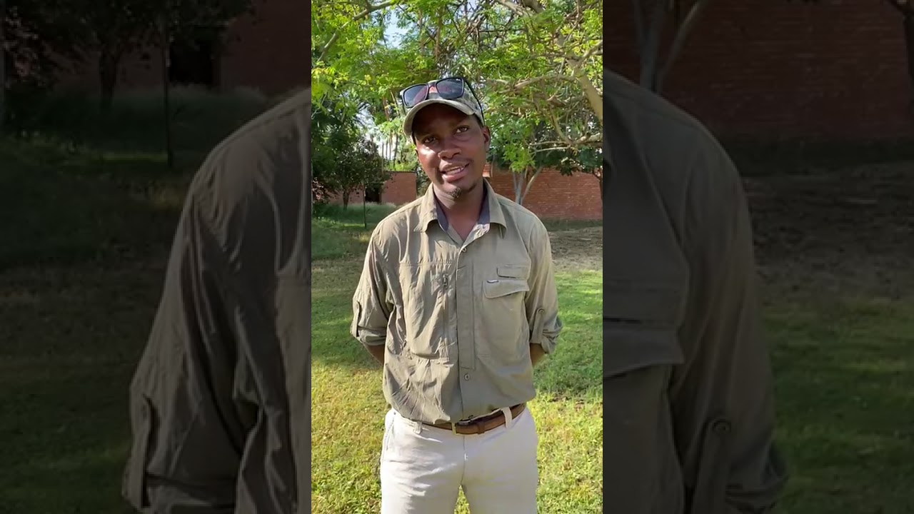 Tadiwanashe Mupunga, EPI Youth Ambassador, on Elephant Conservation