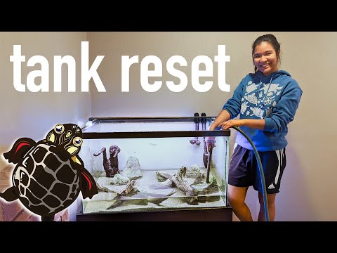 Setting up my 75 gallon TURTLE TANK (again!)