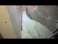 Large Yellow Jacket Nest Found in the Basement in Allenwood, NJ