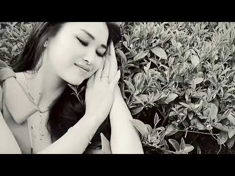 Cho tôi xin lại nụ cười - Lê Phương