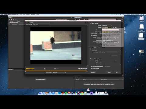 Transcoding Canon XF-100 files to Apple ProRes 422