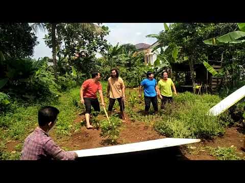 Dunia terbalik   semur daging