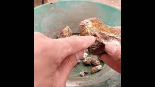 Jeff William's Gold In Quartz Specimens