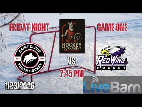 Squirt Tournament St. Cloud Youth Hockey vs Red Wing