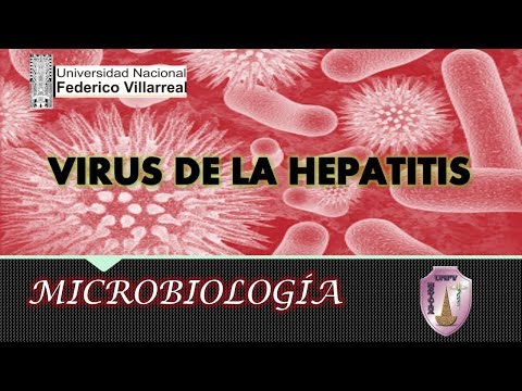 , title : 'VIRUS DE LA HEPATITIS 1'