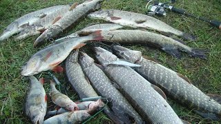 Воблер megabass vision oneten plus 1 wagin galaxy wakasagi