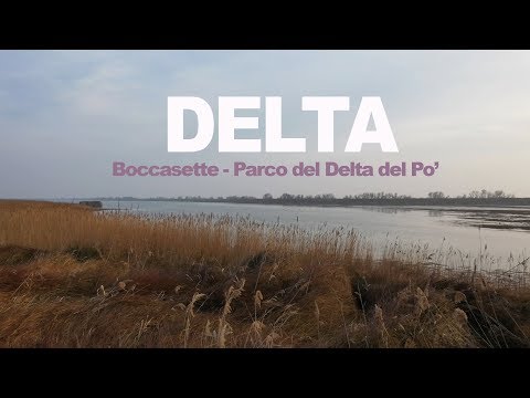 DELTA