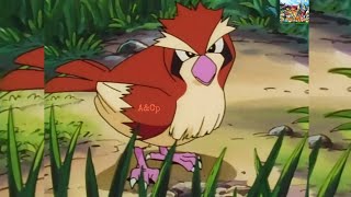 'PIDGEY' Pokemon photos in Season 4