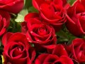Mere Dil Mein Rehte Ho Full Song HD Miss 420