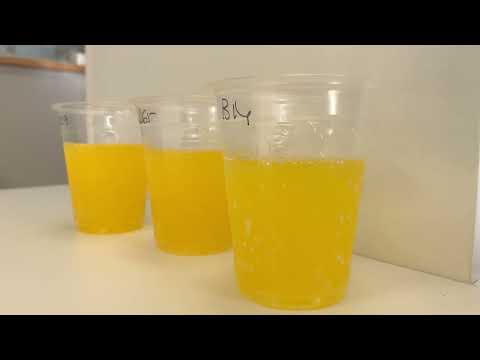 Vídeo Presentación Test de Producto con Consumidores