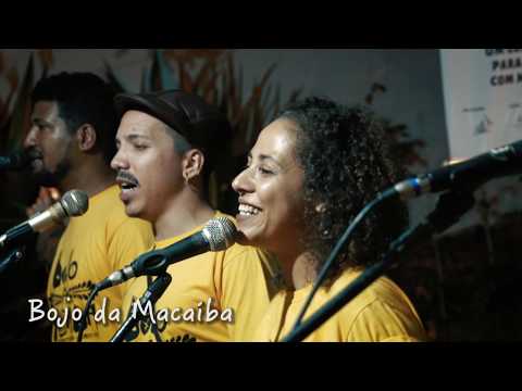 Bojo da Macaíba - Coco de roda de Pontezinha - Cabo / PE