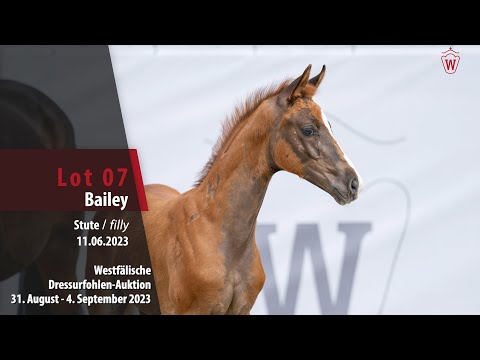 Dressurfohlen-Auktion Lot 07 Bailey Stute v. Bonds - Fürst Magic