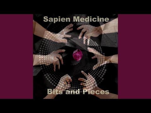 The Smart Hulda Zapper