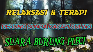 Download lagu RELAKSASI DAN TERAPI DEGUNG SUNDA KACAPI SULING DAN SUARA BURUNG PLECI mp3 Download lagu RELAKSASI DAN TERAPI DEGUNG SUNDA KACAPI SULING DAN SUARA BURUNG PLECI mp3