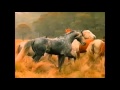 The Silver Brumby 1993 Fragman