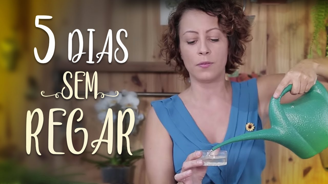 REGA PERFEITA para 5 DIAS LONGE das PLANTAS