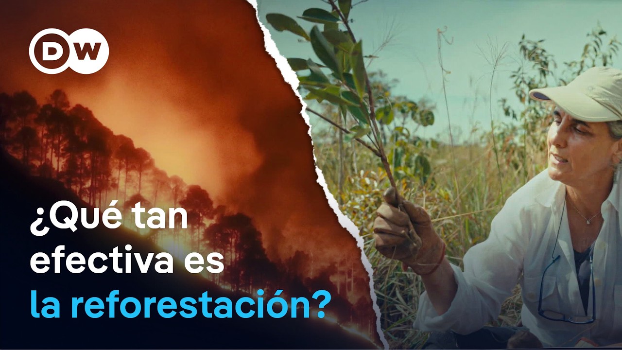 ¿Pueden los árboles salvar el planeta? | DW Documental