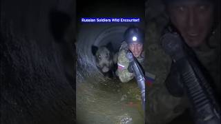 Download lagu Russian Soldiers Encounter a Wild Animal In a Pipeline! mp3