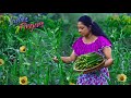 Farm Fresh Okra Harvest Converted Into Steamed Egg Cup Curry Fried Okra Patties Traditional Me