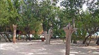 Exotica - Just a shadow