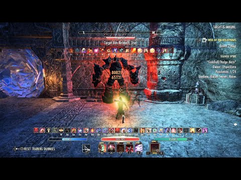  84.9k Stamina Nightblade [850 Champion Points]