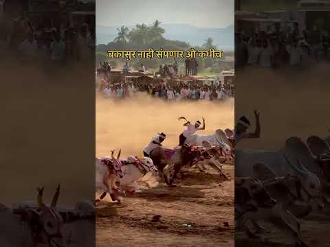 💯🚀 #bakasur6300 #bakasur #bakasursharyat #naadekachbailgadasharyat #mathur #बकासूर