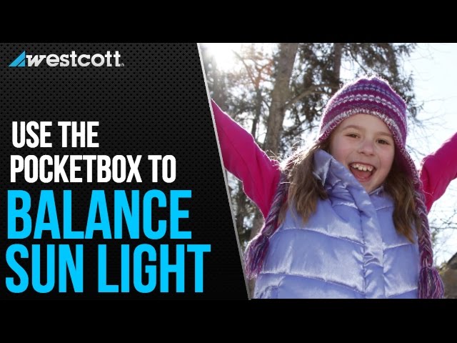 Video teaser for Balancing Sunlight On-the-Go with Erin Manning