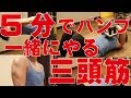 【筋トレ】超時短!5分だけ一緒に筋トレしよう!~二の腕・上腕三頭筋編~
