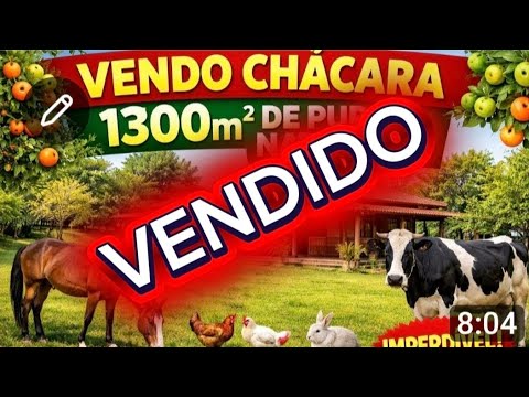 Vendo otima chacara na regiao de Frei Inocencio mg