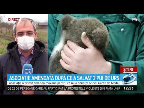 Revoltător: o asociație din Sibiu a fost amendată de către Garda de Mediu cu 10.000 după ce a s