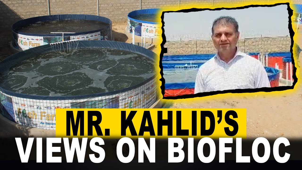 Fisheries Development Board's Mr. Khalid Visit at As Sammak Biofloc Fish Farm