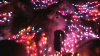 Extreme Sheep LED Art HD Malaysia Video