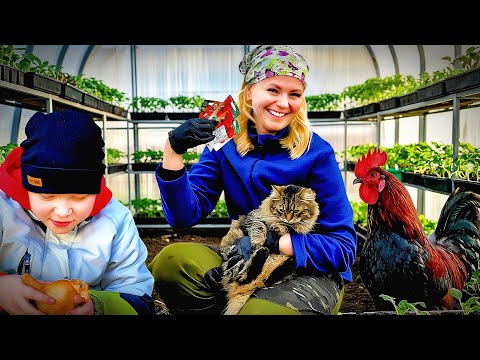 ВСЮ ТЕПЛИЦУ ЗАСАДИЛИ В МАРТЕ! ИСПРАВЛЯЕМ ВСЕ ПРОШЛОГОДНИЕ ОШИБКИ. ЖИЗНЬ НА ХУТОРЕ.